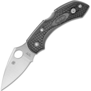 Zavírací Nůž Spyderco Dragonfly 2 C28PBK2