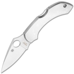 Zavírací Nůž Spyderco Dragonfly C28P