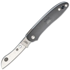 Zavírací Nůž Spyderco Roadie C189PGY