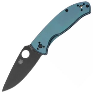 Zavírací Nůž Spyderco Tenacious Black C122TIBLBKP